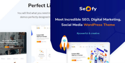 Seofy_SEO & Digital Marketing Agency WordPress Theme